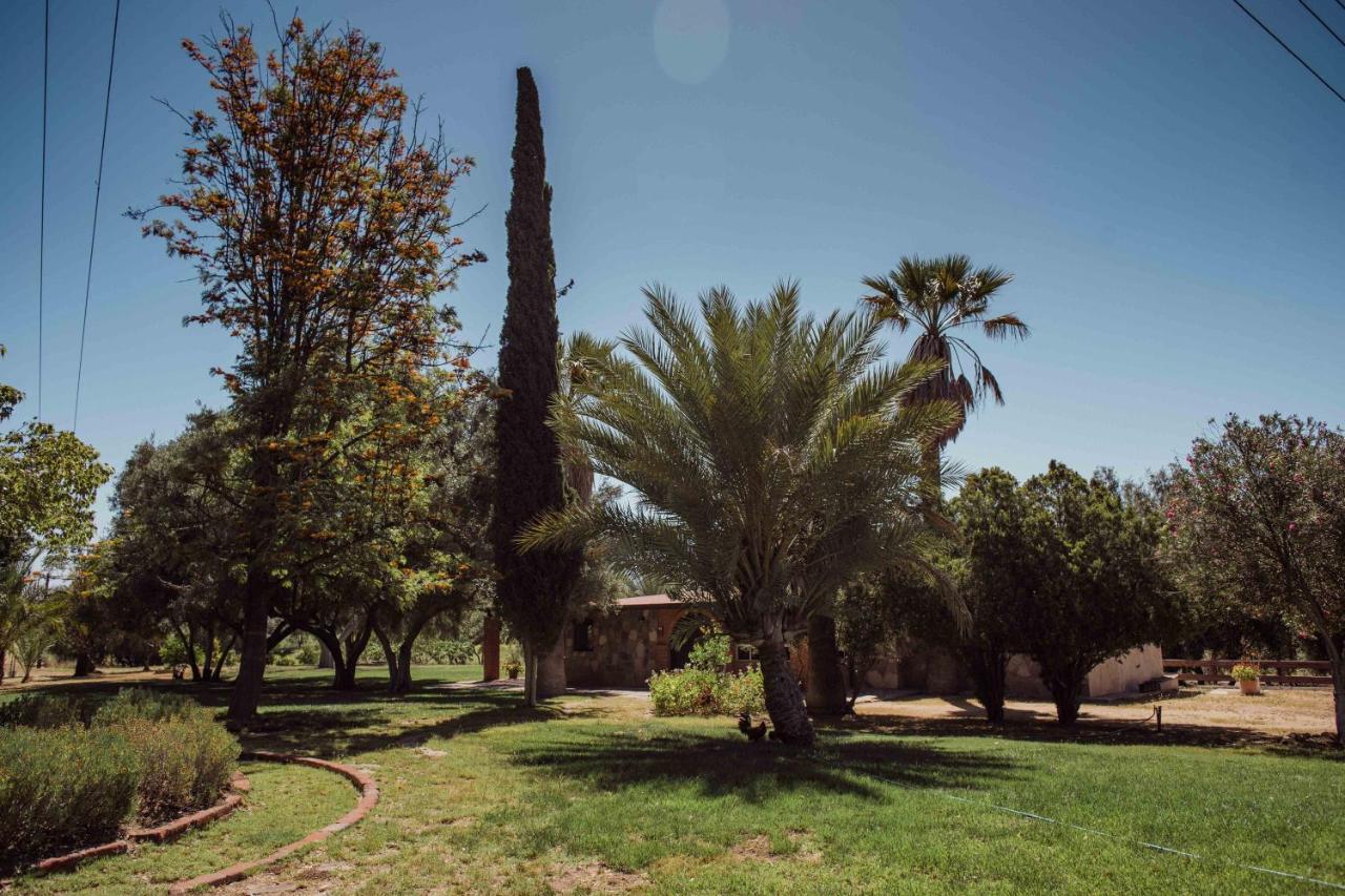 فيلا Rancho Toros Pintos فالي دي جوادالوبي المظهر الخارجي الصورة