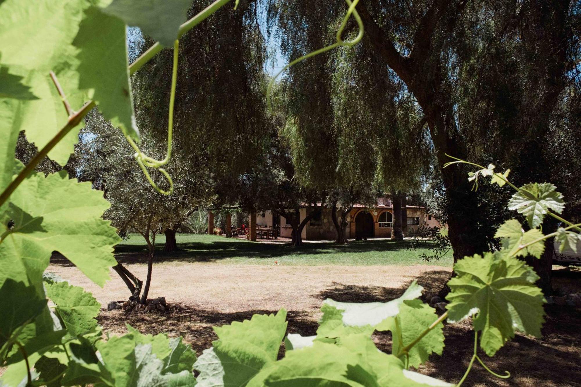 فيلا Rancho Toros Pintos فالي دي جوادالوبي الغرفة الصورة